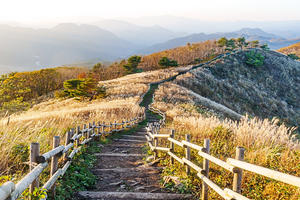 정선 민둥산 억새, 민둥산 정사 뒤 왼쪽의 민둥산 두레길 모습_DSC8675 Photo by Happist