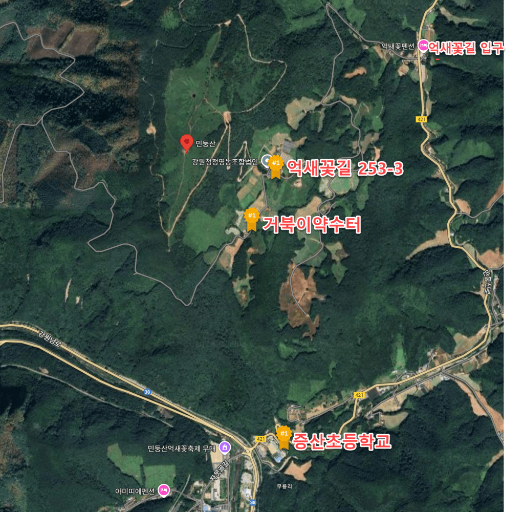 강원 단풍여행, 석양의 민둥산 억새 풍경에 취하다 58