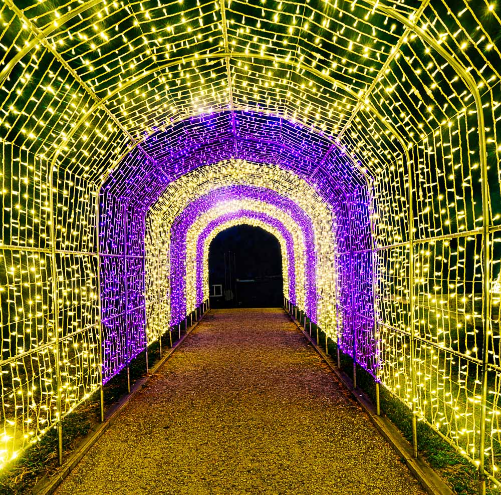 여의도 한강공원에서 야경을 담아보다 10