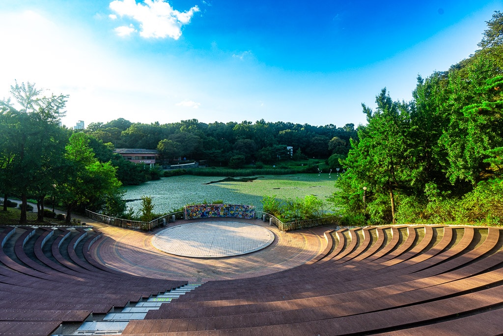 서울 올림픽공원 나무 풍경을 담다. 37
