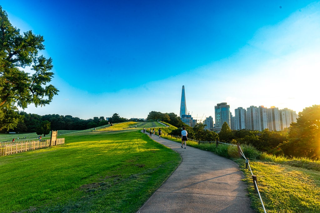 서울 올림픽공원 나무 풍경을 담다. 41