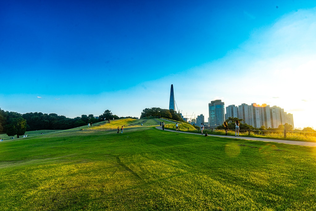 서울 올림픽공원 나무 풍경을 담다. 40