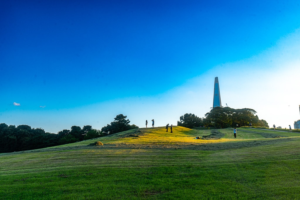 서울 올림픽공원 나무 풍경을 담다. 39
