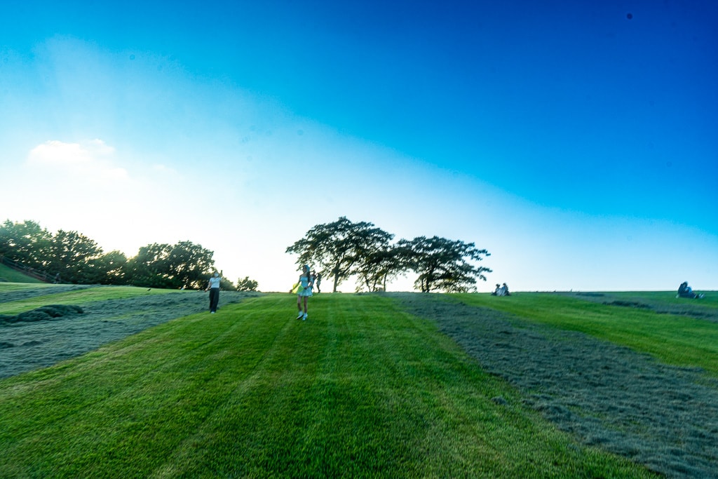 서울 올림픽공원 나무 풍경을 담다. 38