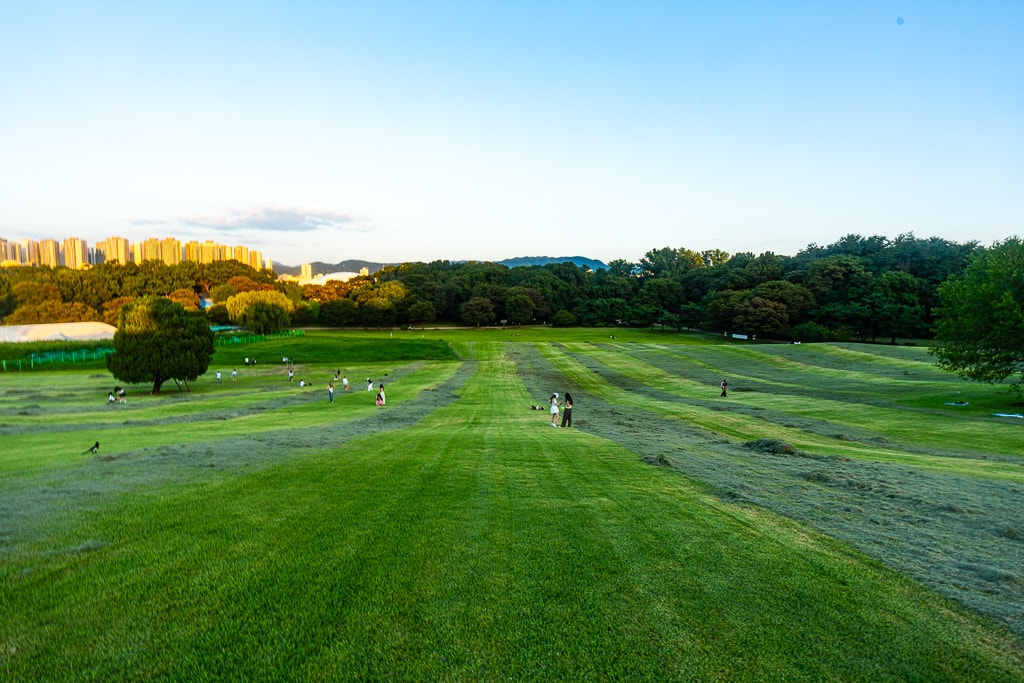 서울 올림픽공원 나무 풍경을 담다. 29