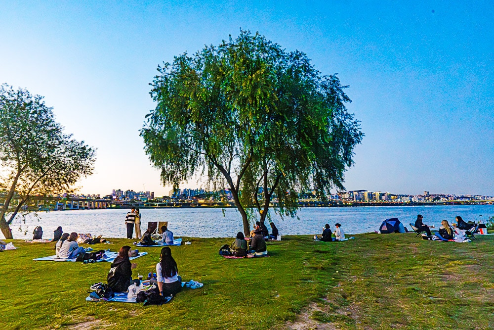 세빛 둥둥섬 야경과 반포대교 달빛무지개분수 야경을 담다. 16