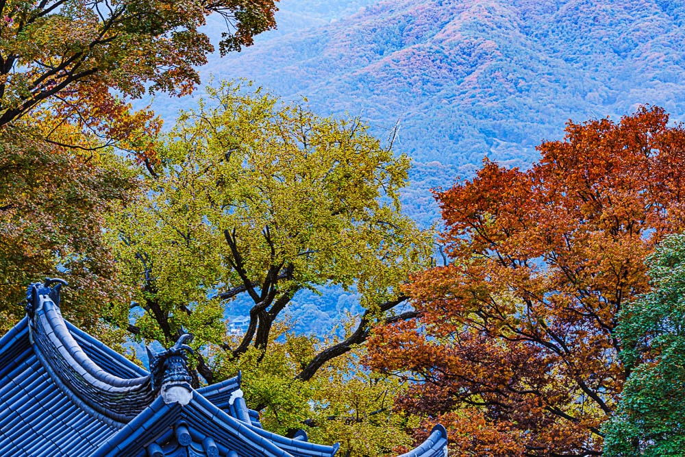 가을 양수리 운해가 아름다운 수종사에 다녀오다 33