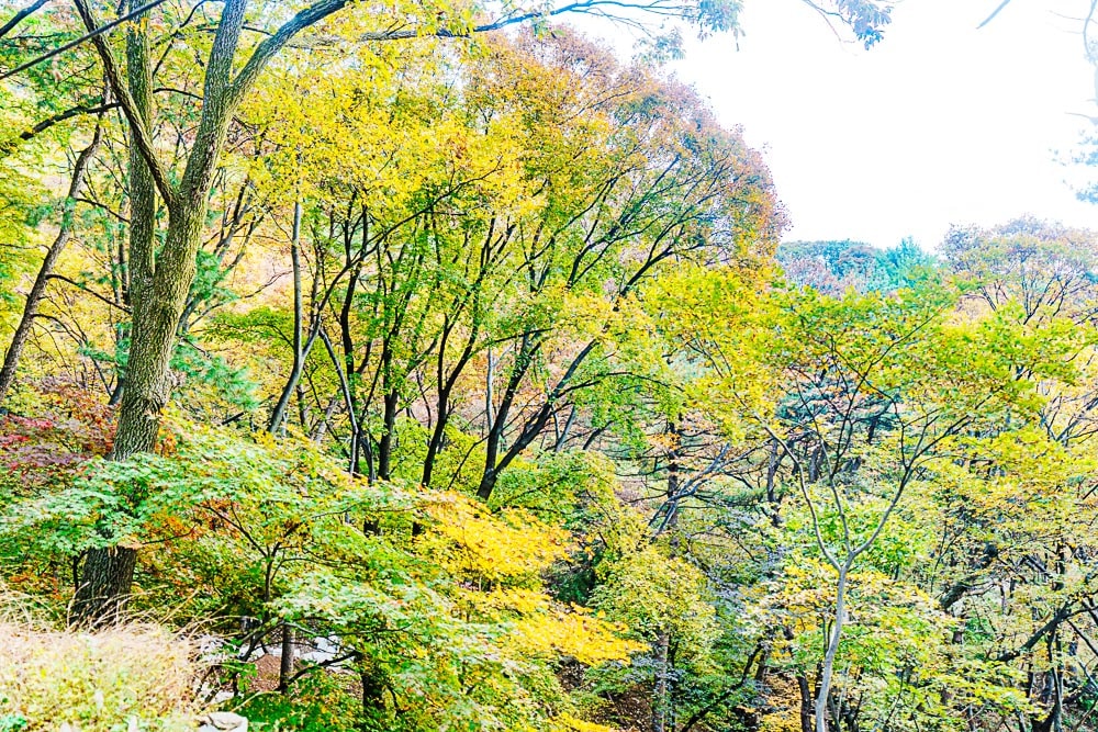 가을 양수리 운해가 아름다운 수종사에 다녀오다 39