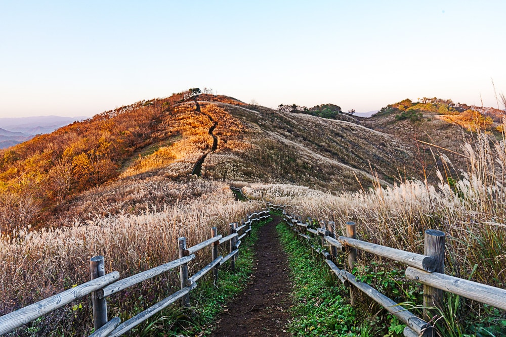 강원 단풍여행, 석양의 민둥산 억새 풍경에 취하다 61