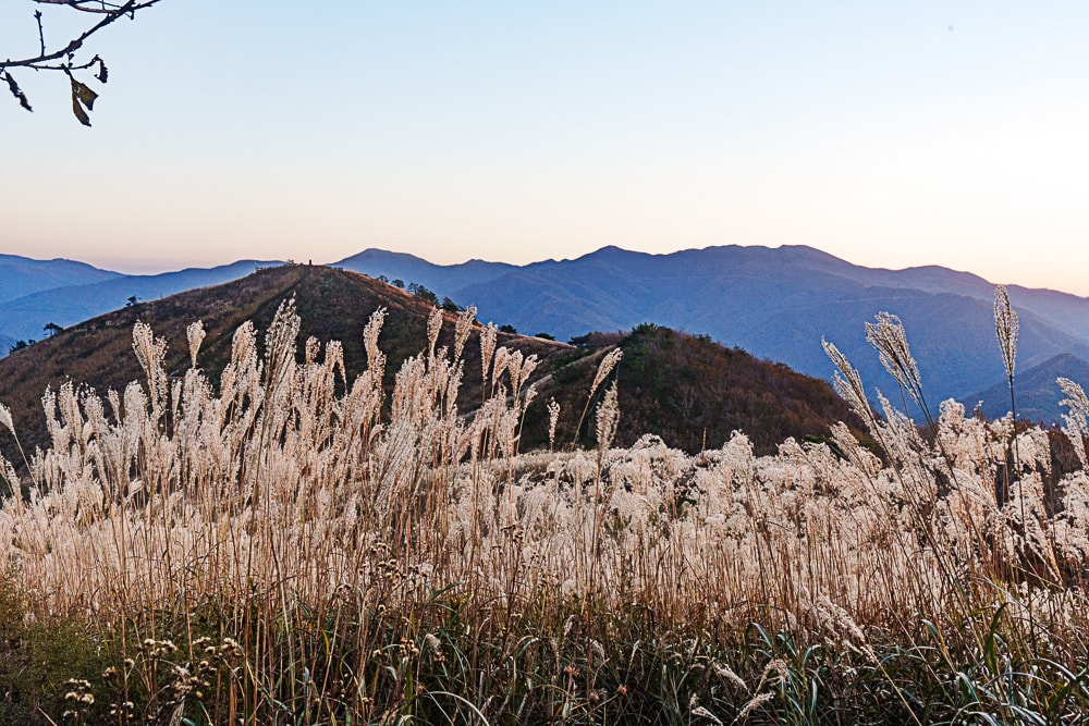 강원 단풍여행, 석양의 민둥산 억새 풍경에 취하다 67