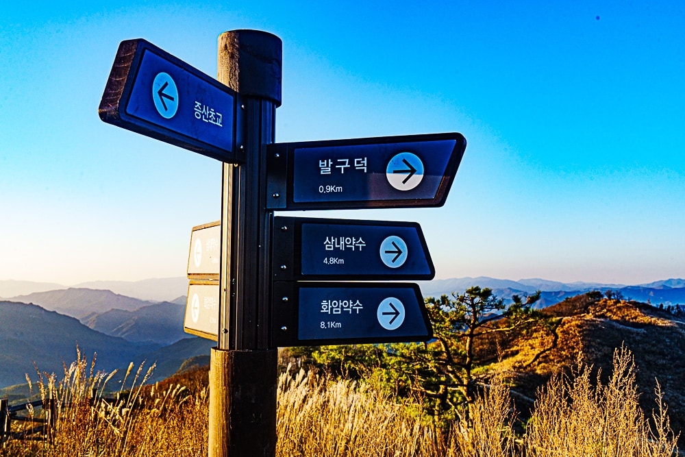 강원 단풍여행, 석양의 민둥산 억새 풍경에 취하다 57