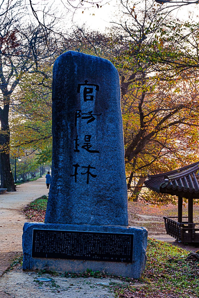 담양 관방제림 가을 풍경을 보다 1