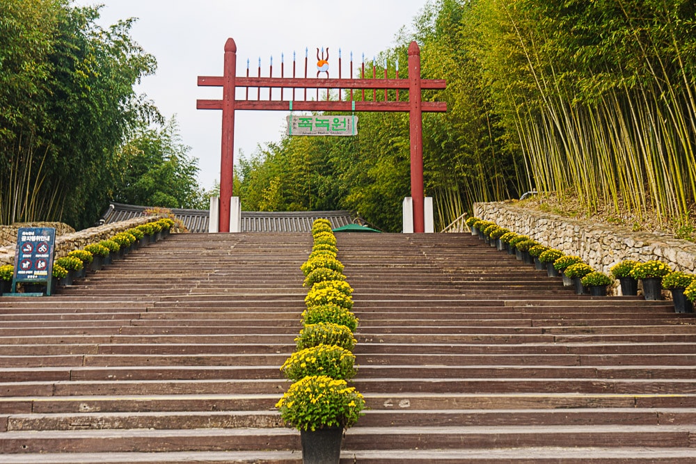 담양 죽녹원, 죽녹원 입구 계단 풍경_DSC2562 Photo by Happist