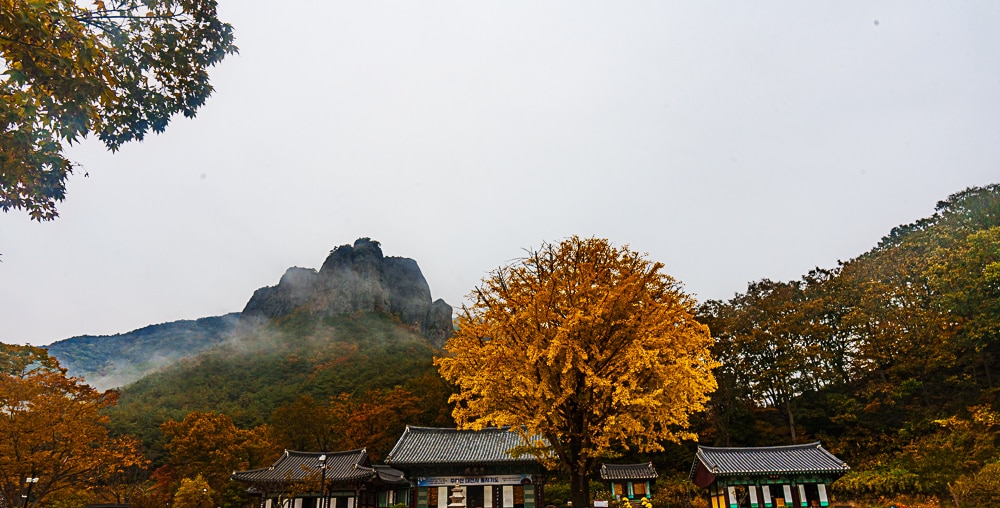  주왕산 등반, 대전사에서 바라본 주왕산 풍경_DSC0003 Photo by Happist