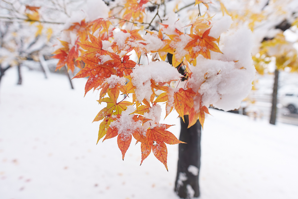 눈 풍경 사진 보정 법 7