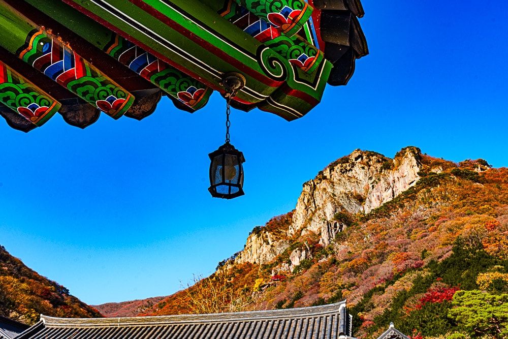 늦가을 백양사 단풍 풍경에 취해보다 24