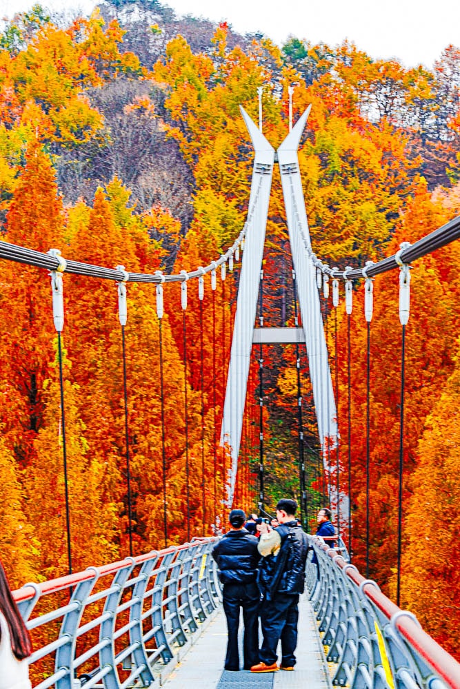 대전 장태산 자영휴양림 흔들다리위에서 담아본 풍경_DSC2091 Photo by Happist