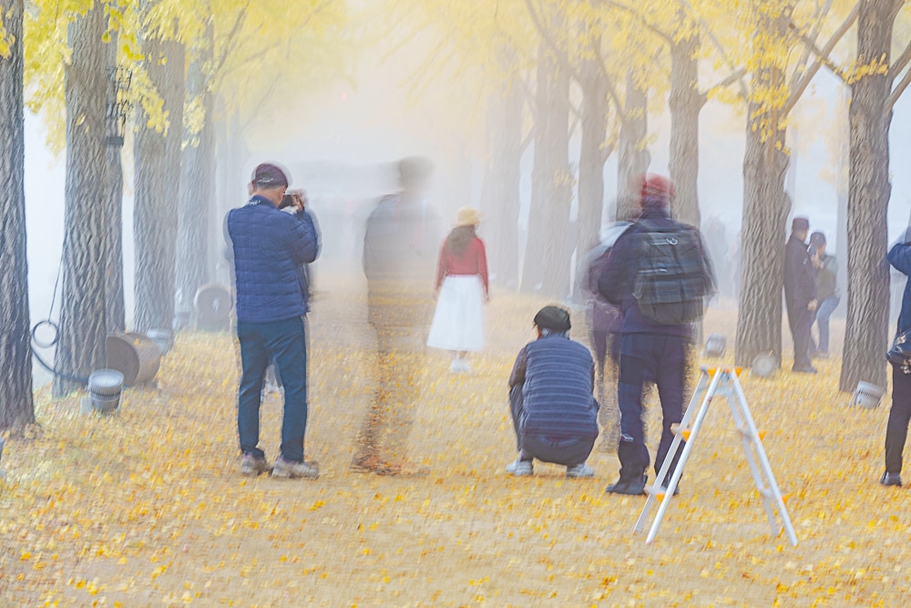 유난히 아름다웠던 24년 문광저수지 은행나무길 단풍 출사기 20