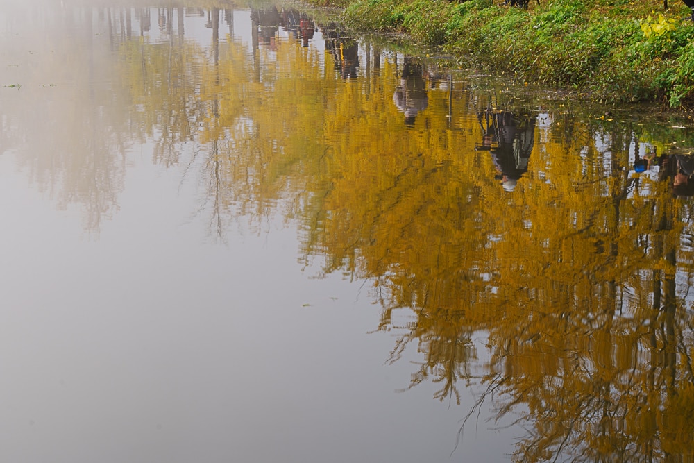 유난히 아름다웠던 24년 문광저수지 은행나무길 단풍 출사기 12