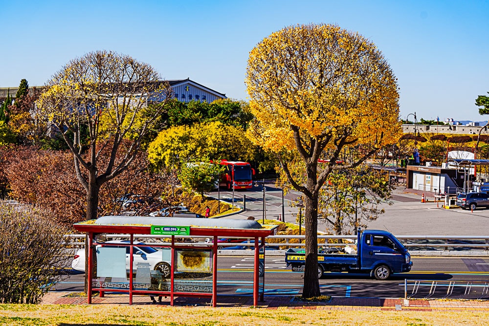 가을이면 더욱 아름다운 수원 은행나무 가로수길 21