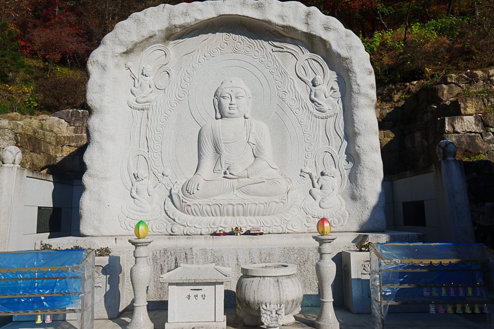 양평 용문사 은행나무 출사기 40