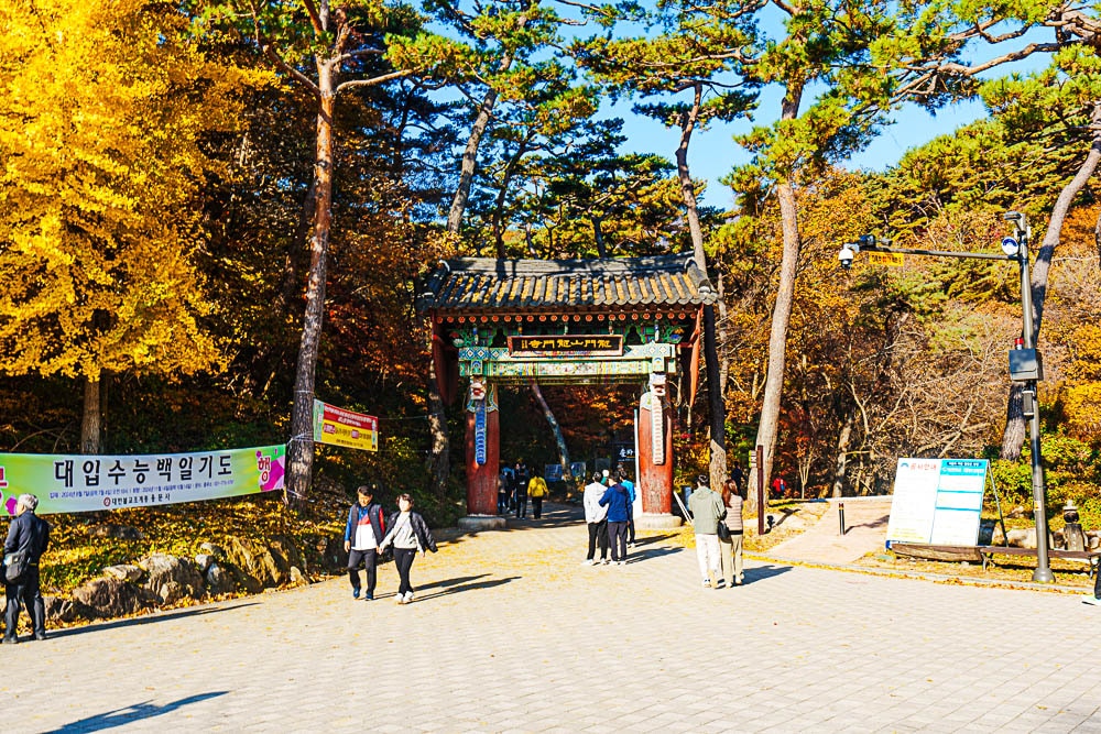 양평 용문사 은행나무 출사기 27