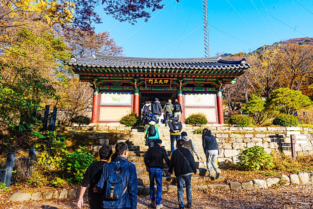 양평 용문사(241103), 용문산 용무사 가는 길 단풍 풍경_DSC1228 Photo by Happist