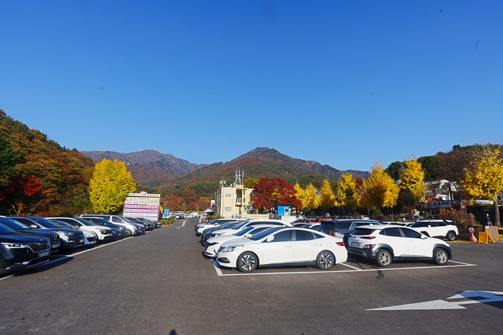 양평 용문사 은행나무 출사기 26