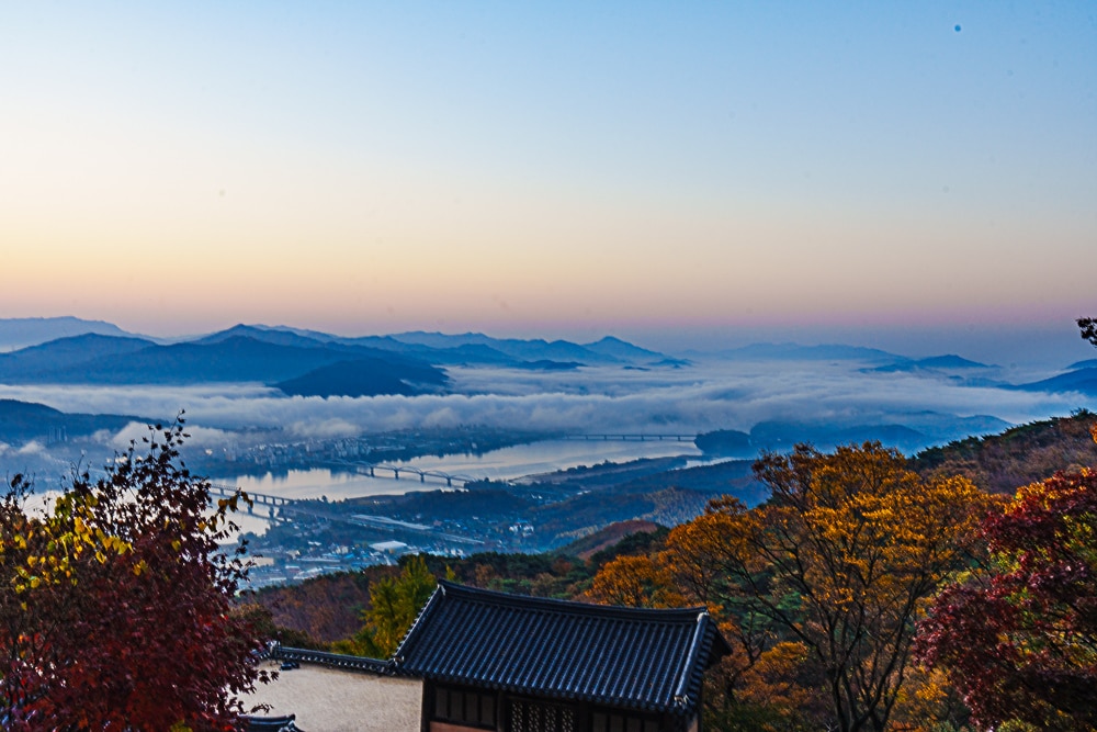 양평 용문사 은행나무 출사기 25