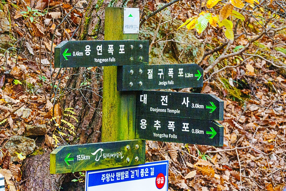 청송 주산지 및 주왕산 단풍 여행기 27