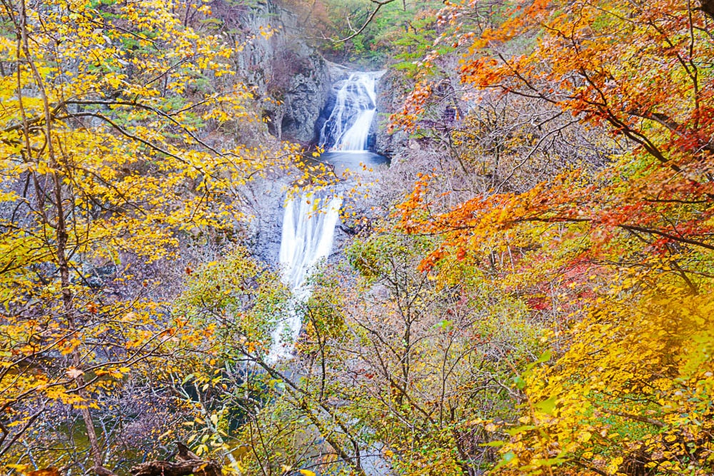 청송 주산지 및 주왕산 단풍 여행기 23