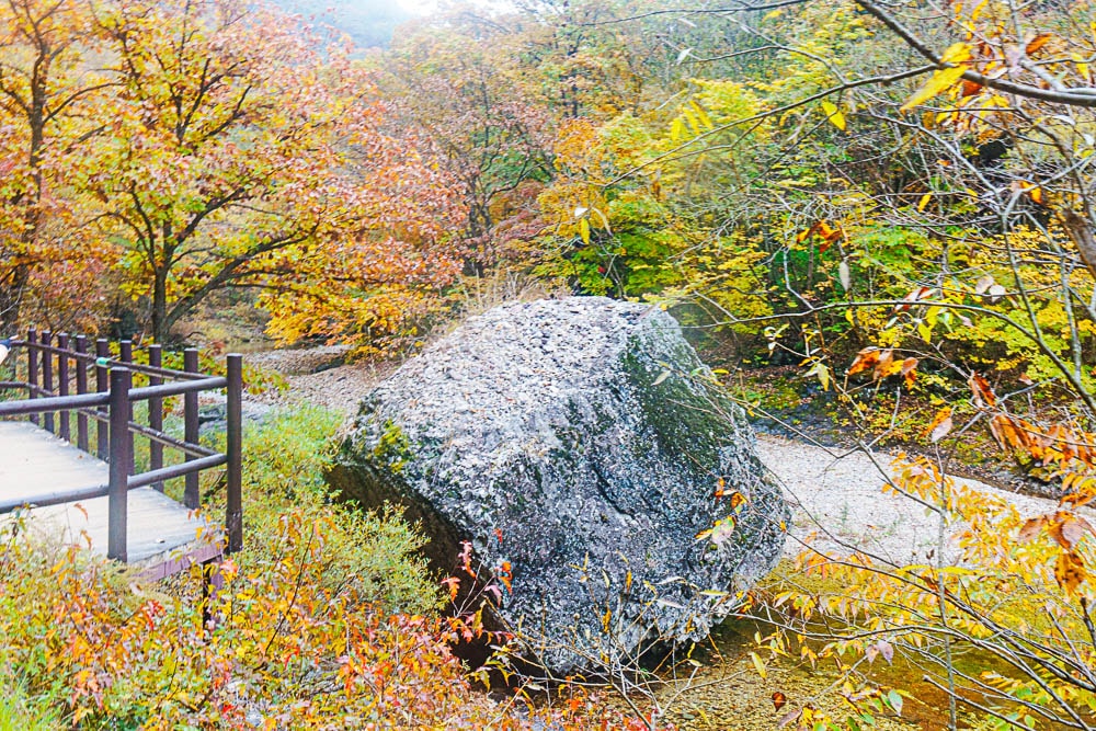 청송 주산지 및 주왕산 단풍 여행기 9