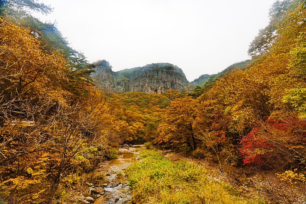 청송 주산지 및 주왕산 단풍 여행기 8