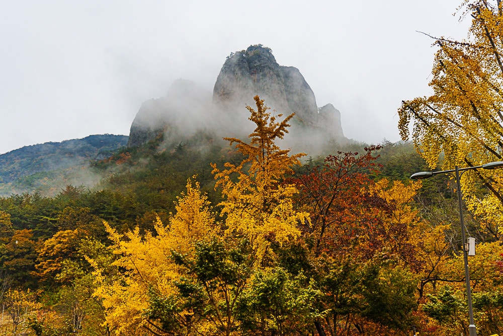 청송 주산지 및 주왕산 단풍 여행기 31