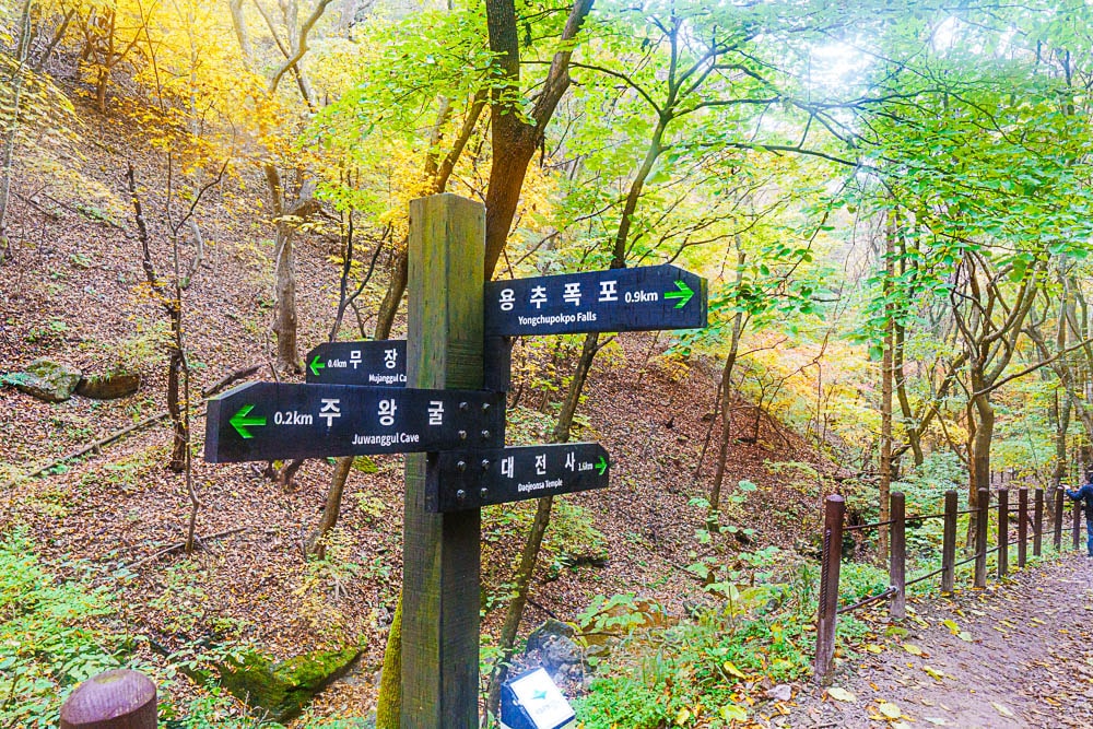 청송 주산지 및 주왕산 단풍 여행기 13