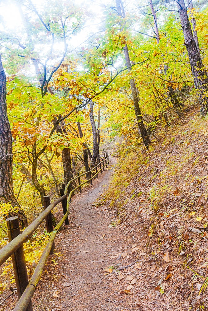 청송 주산지 및 주왕산 단풍 여행기 14