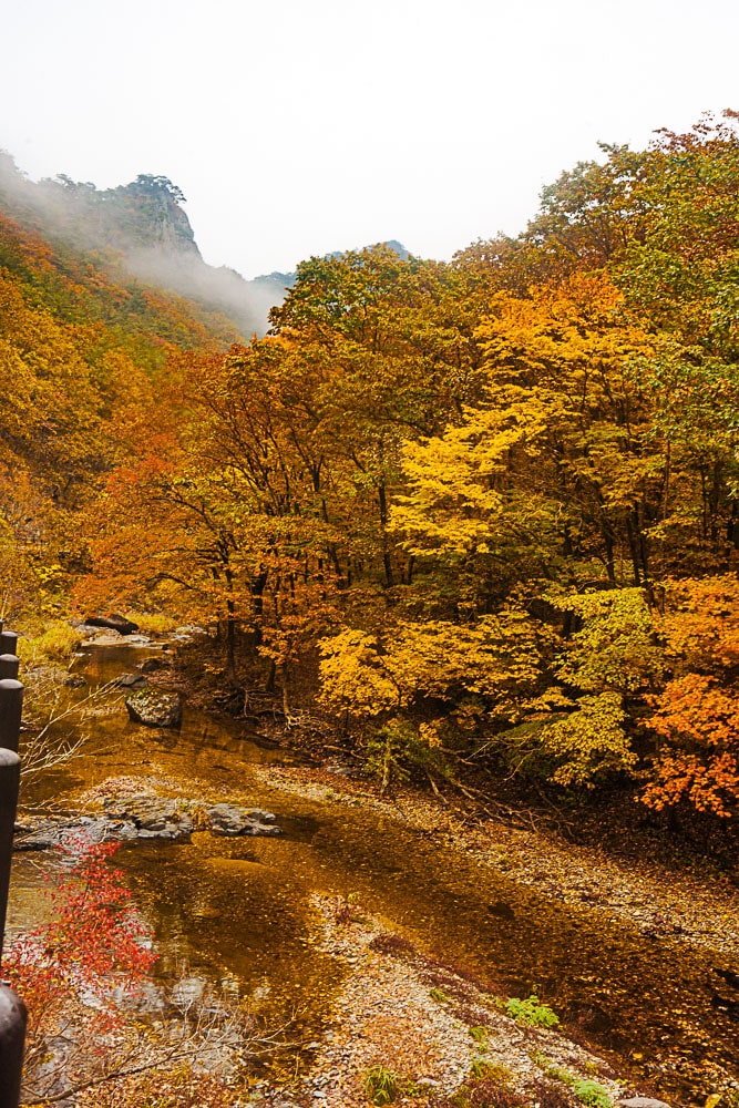 청송 주산지 및 주왕산 단풍 여행기 7