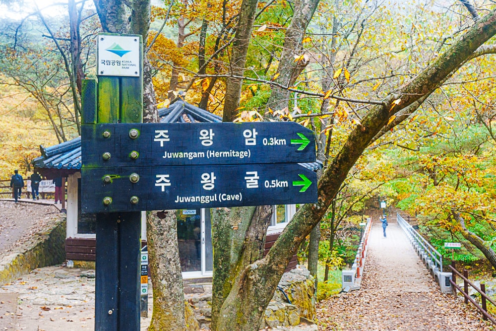 청송 주산지 및 주왕산 단풍 여행기 10