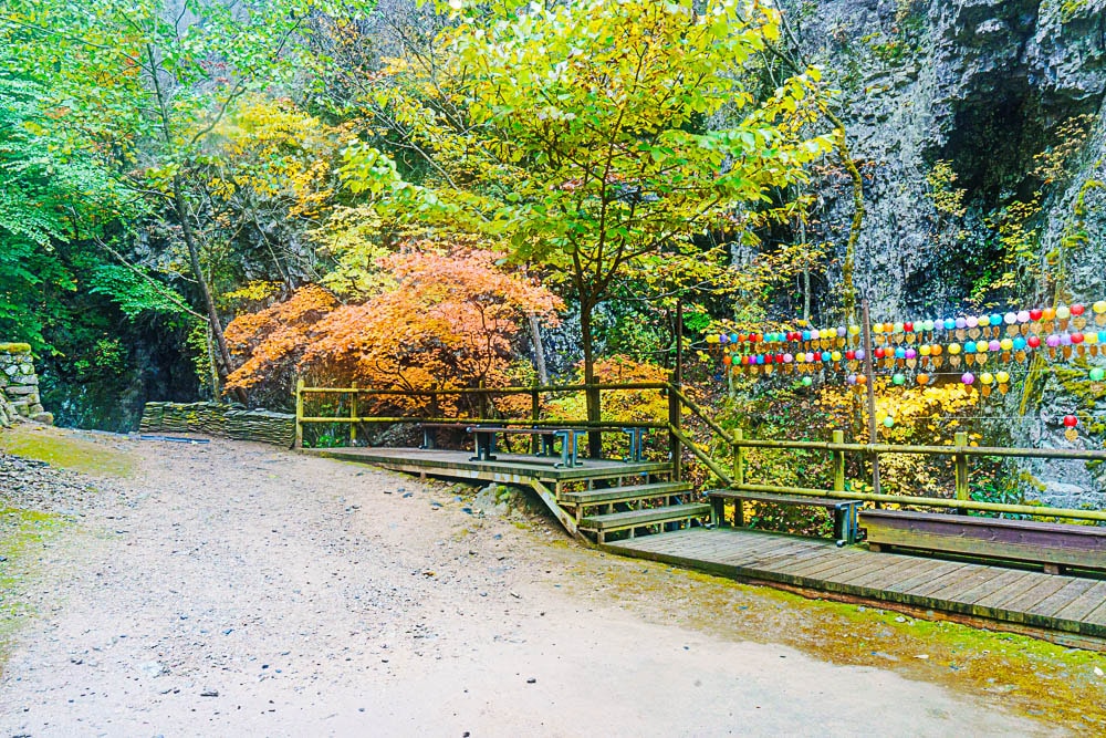 청송 주산지 및 주왕산 단풍 여행기 12