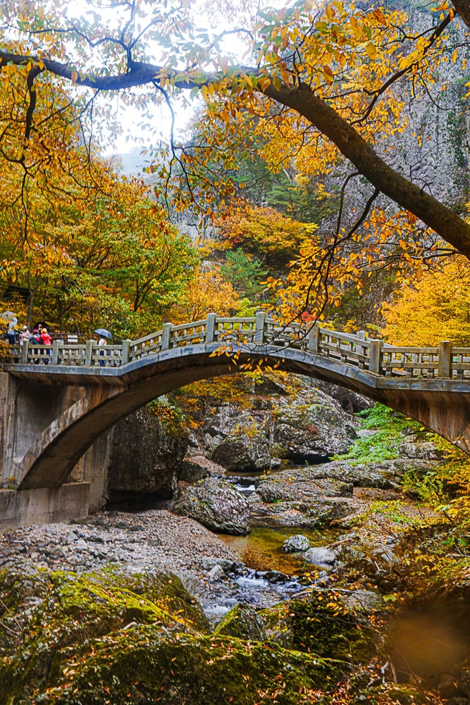 청송 주산지 및 주왕산 단풍 여행기 19