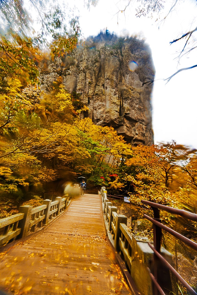 청송 주산지 및 주왕산 단풍 여행기 17