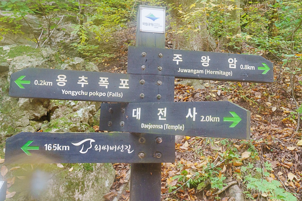 청송 주산지 및 주왕산 단풍 여행기 16