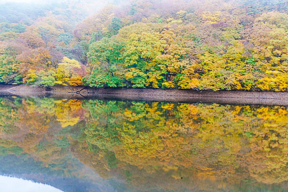 청송 주산지 및 주왕산 단풍 여행기 6