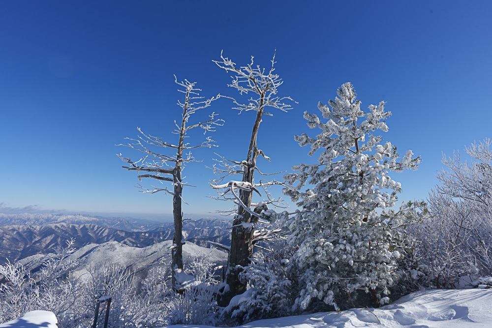 가족 겨울 산행 추천, 덕유산 케이블카를 타고 덕유산 향적봉을 다녀오다. 29
