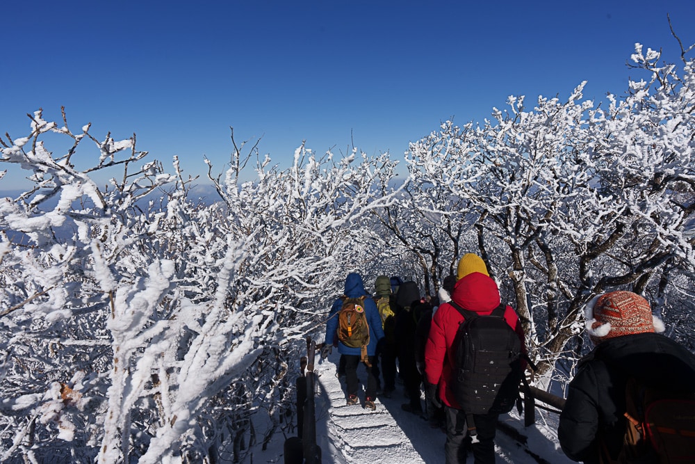 가족 겨울 산행 추천, 덕유산 케이블카를 타고 덕유산 향적봉을 다녀오다. 10