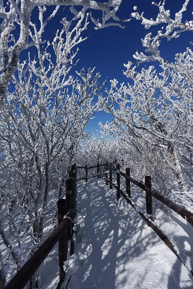 가족 겨울 산행 추천, 덕유산 케이블카를 타고 덕유산 향적봉을 다녀오다. 9