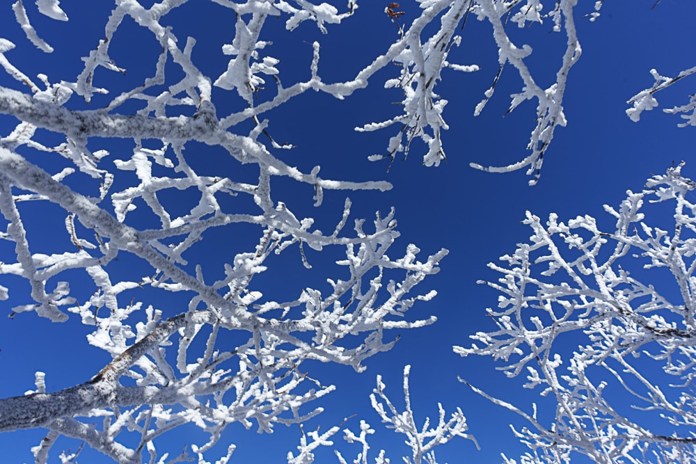 가족 겨울 산행 추천, 덕유산 케이블카를 타고 덕유산 향적봉을 다녀오다. 11