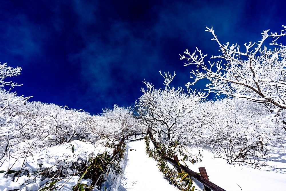 가족 겨울 산행 추천, 덕유산 케이블카를 타고 덕유산 향적봉을 다녀오다. 21