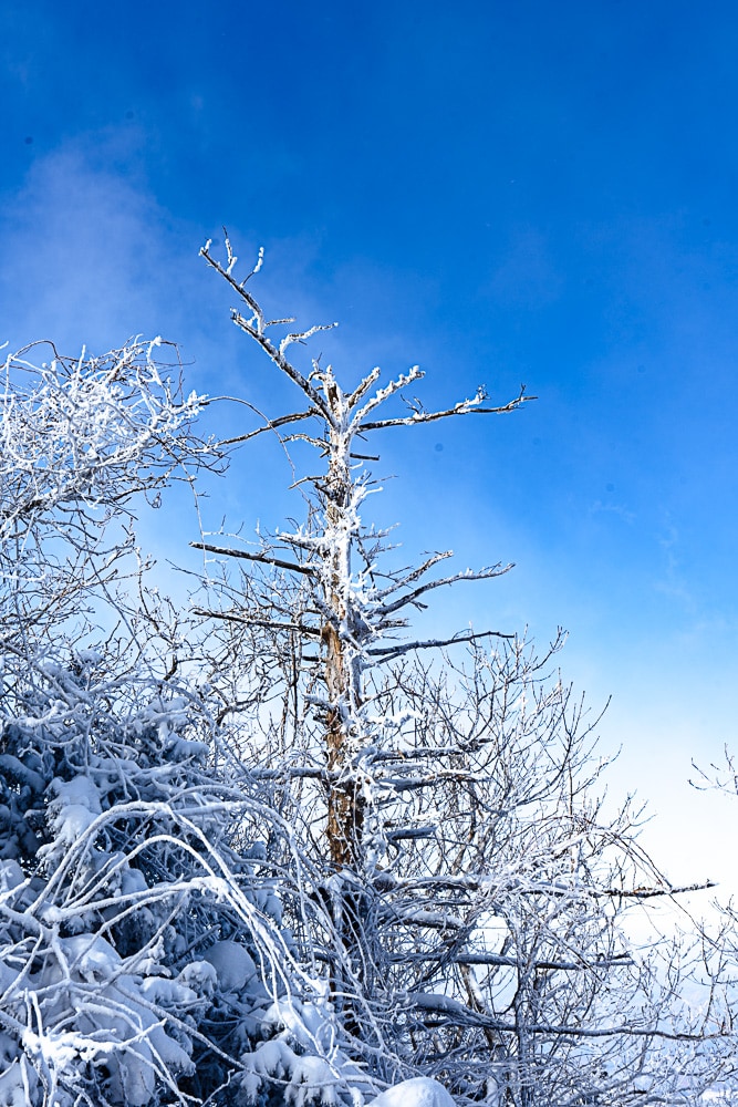 가족 겨울 산행 추천, 덕유산 케이블카를 타고 덕유산 향적봉을 다녀오다. 28