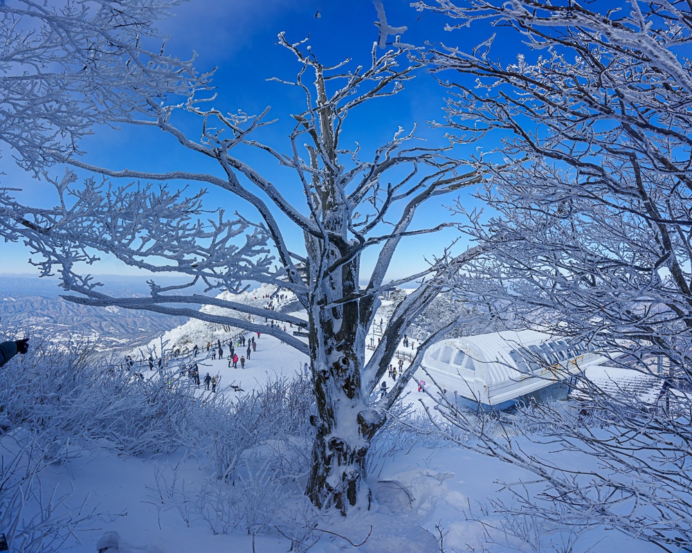 가족 겨울 산행 추천, 덕유산 케이블카를 타고 덕유산 향적봉을 다녀오다. 27